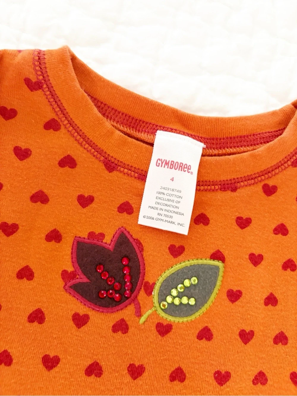 Girls 4 • Gymboree matching fall set long sleeve + skirt set
